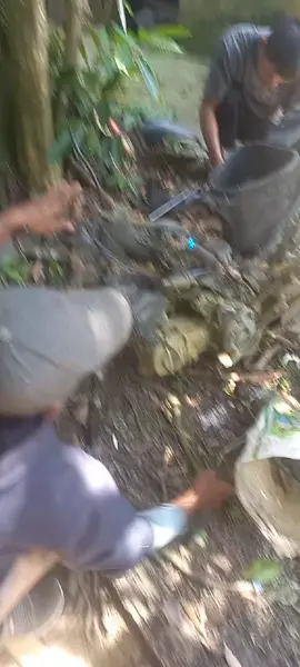 iki bolo infone#absolute