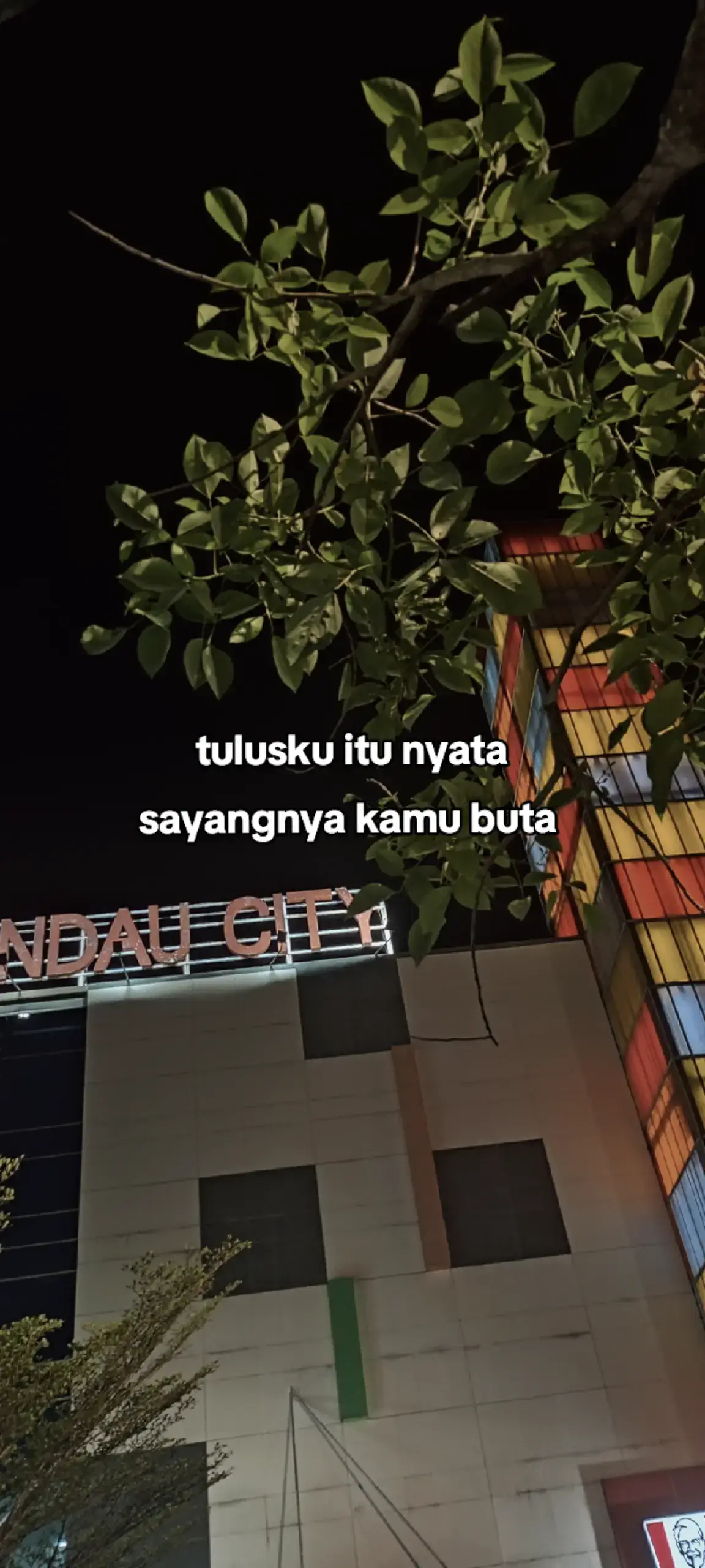 #storywa #fypageeee 