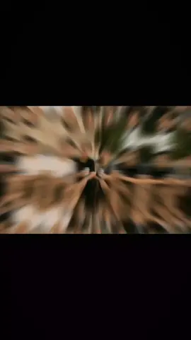 Cứ thế mà sống thôi😂😂 #xuhuuuuuuuuuung #sonhoa #xuhuong #tiktok #venezuela 