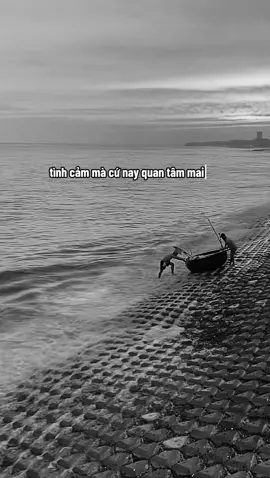 Trap 1 tuần nữa tháng bốc hơi
