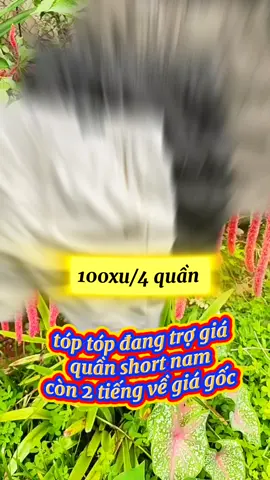 quần short nam  #quanshortnam #quanshort #trending #thinhhanh #tiepthilienket #capcut #xuhuong 