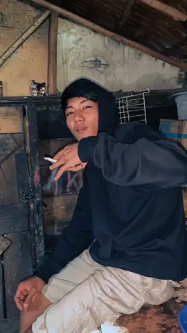 🚀#bugispride🏝️🔥 #xybca #drivermuda #fyp #pegununganpapua 