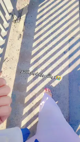 صباح الجمال😘❤️‍🔥#بغداد #اكسبلور #مالي_خلق_احط_هاشتاقات #جيش #جيش_حسحس 