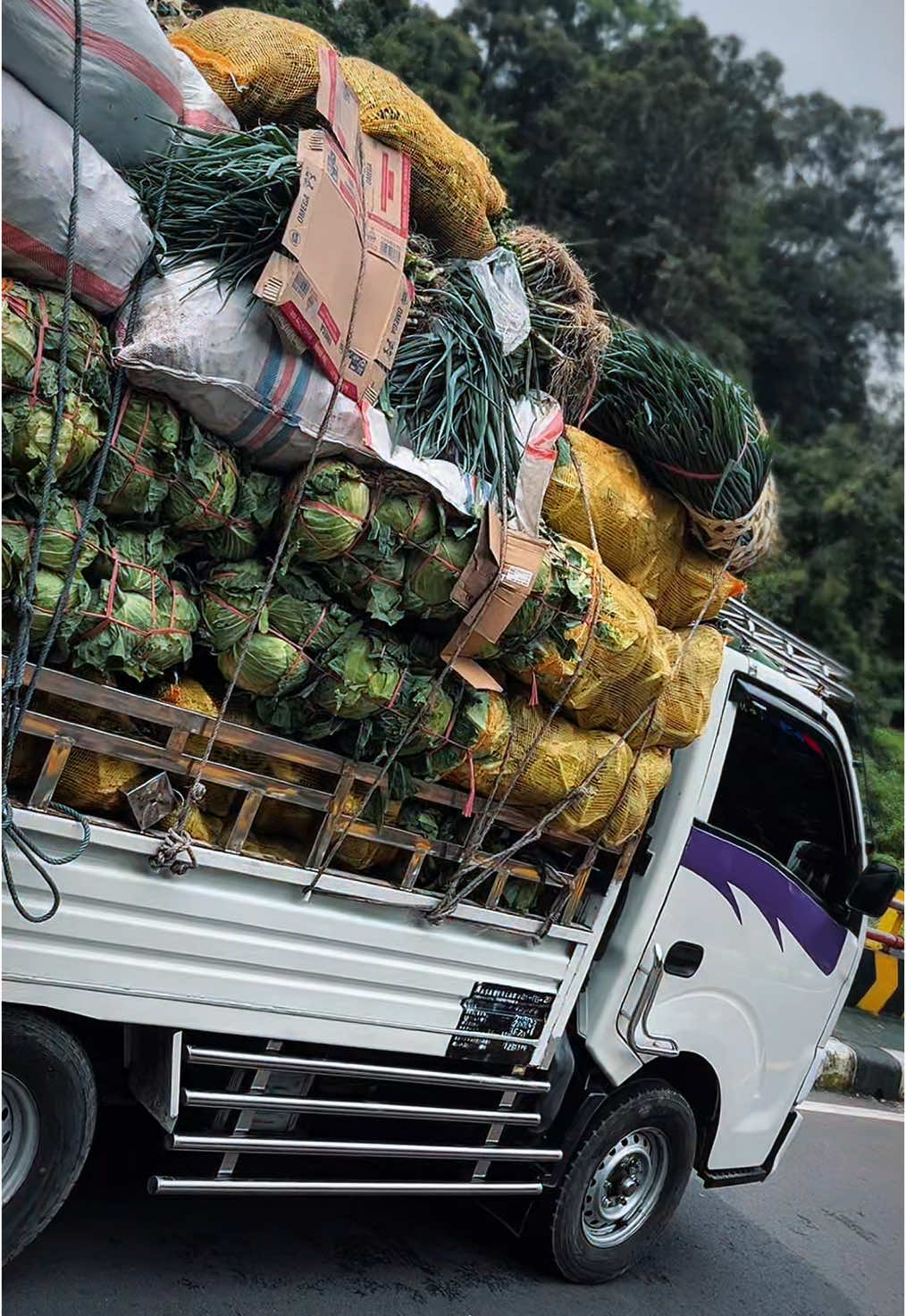 Traga khusus muat sayur🤩 #sayur #sayurfresh #traga #tragamodifikasi #viral #drivermuda #viral #lombokviral 