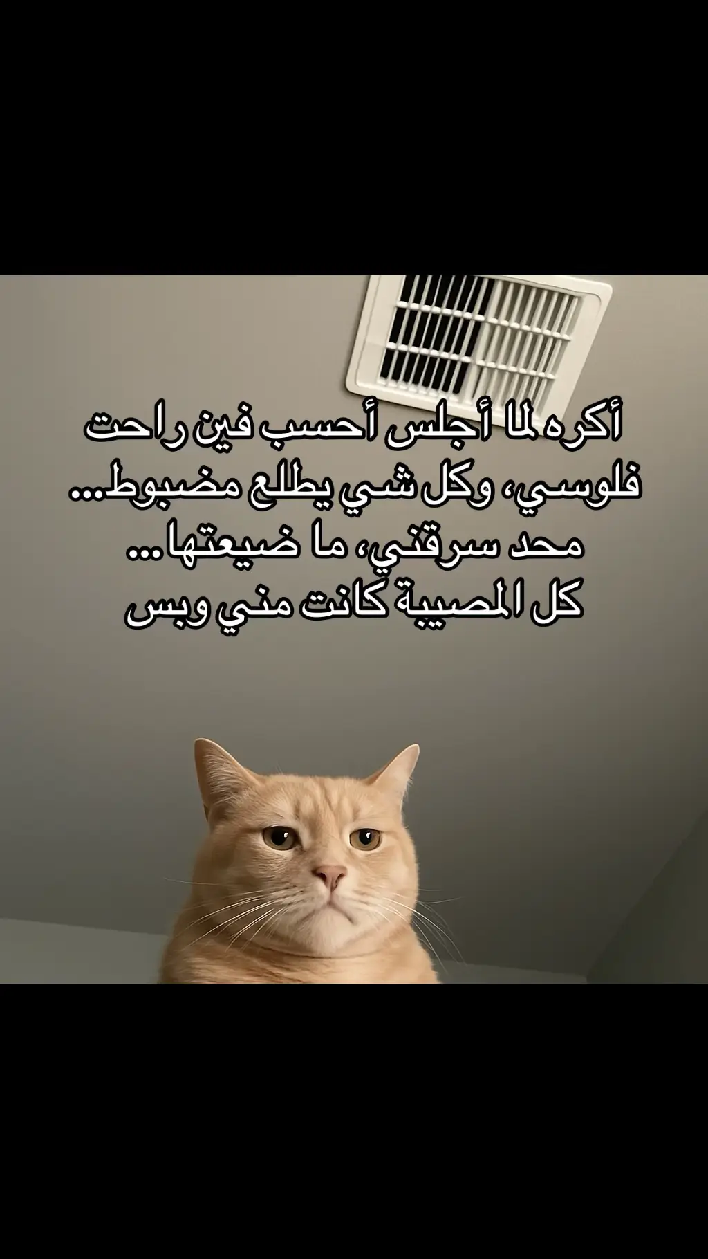 #الشعب_الصيني_ماله_حل😂😂 