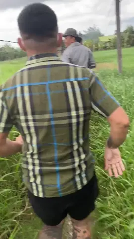 Chạy quá chạy😂😂#bentre71🌴🥥 #xuhuong 