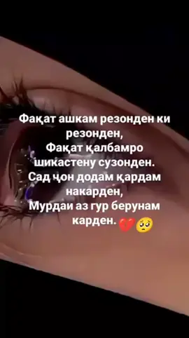 #top#тренд видео#