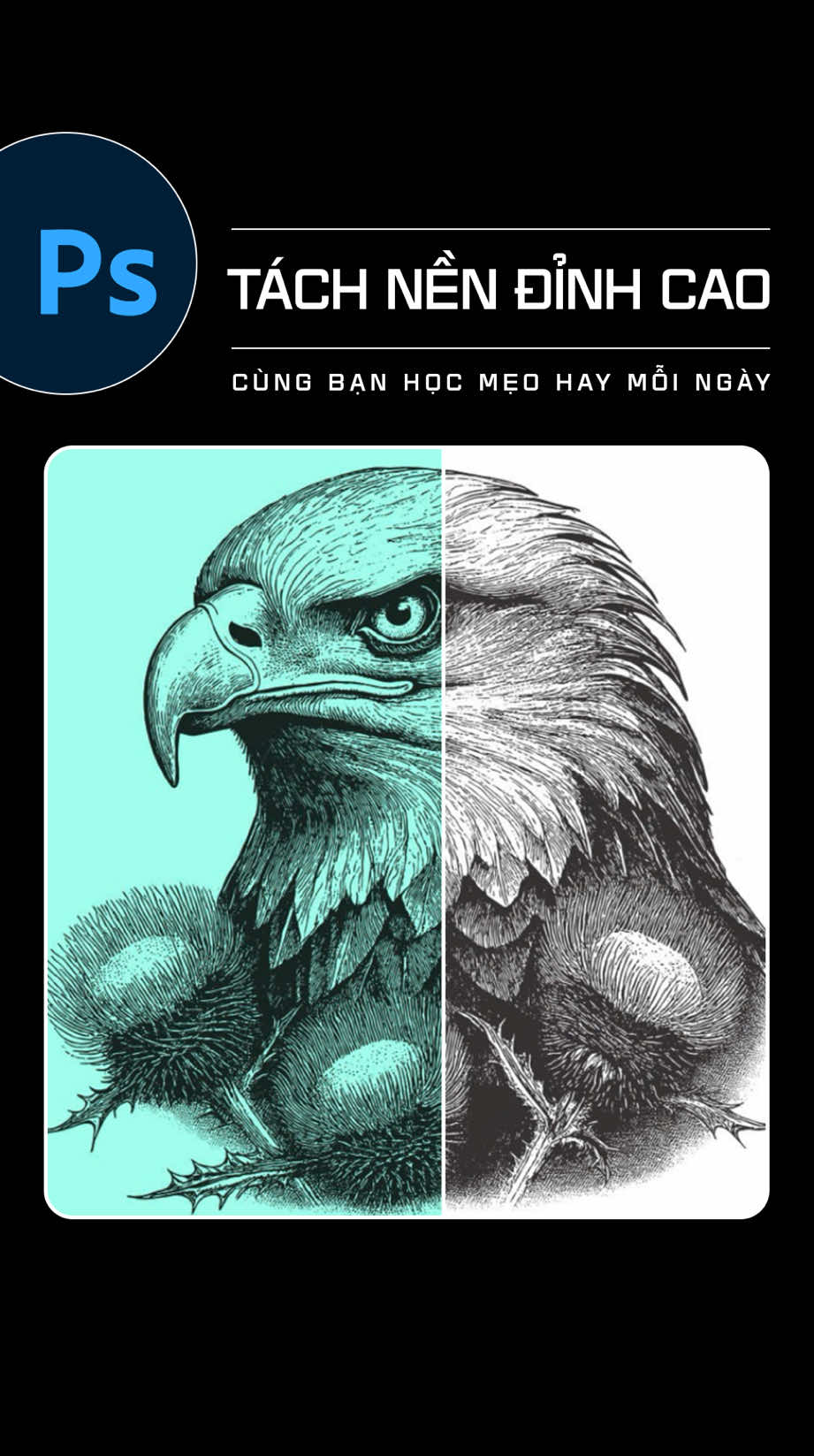 Mẹo tách nền cực nhanh trong photoshop #PTS #Ps #Photoshop #thietkedohoa #chinhsuahinhanh #thietkebanner #thietkelogo 