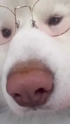 >< #ophtus #แว่นอาเนีย #แว่นกรองแสง #แว่นออปตัส #แว่นแก้มชมพู  #fyp #ลีน่า 