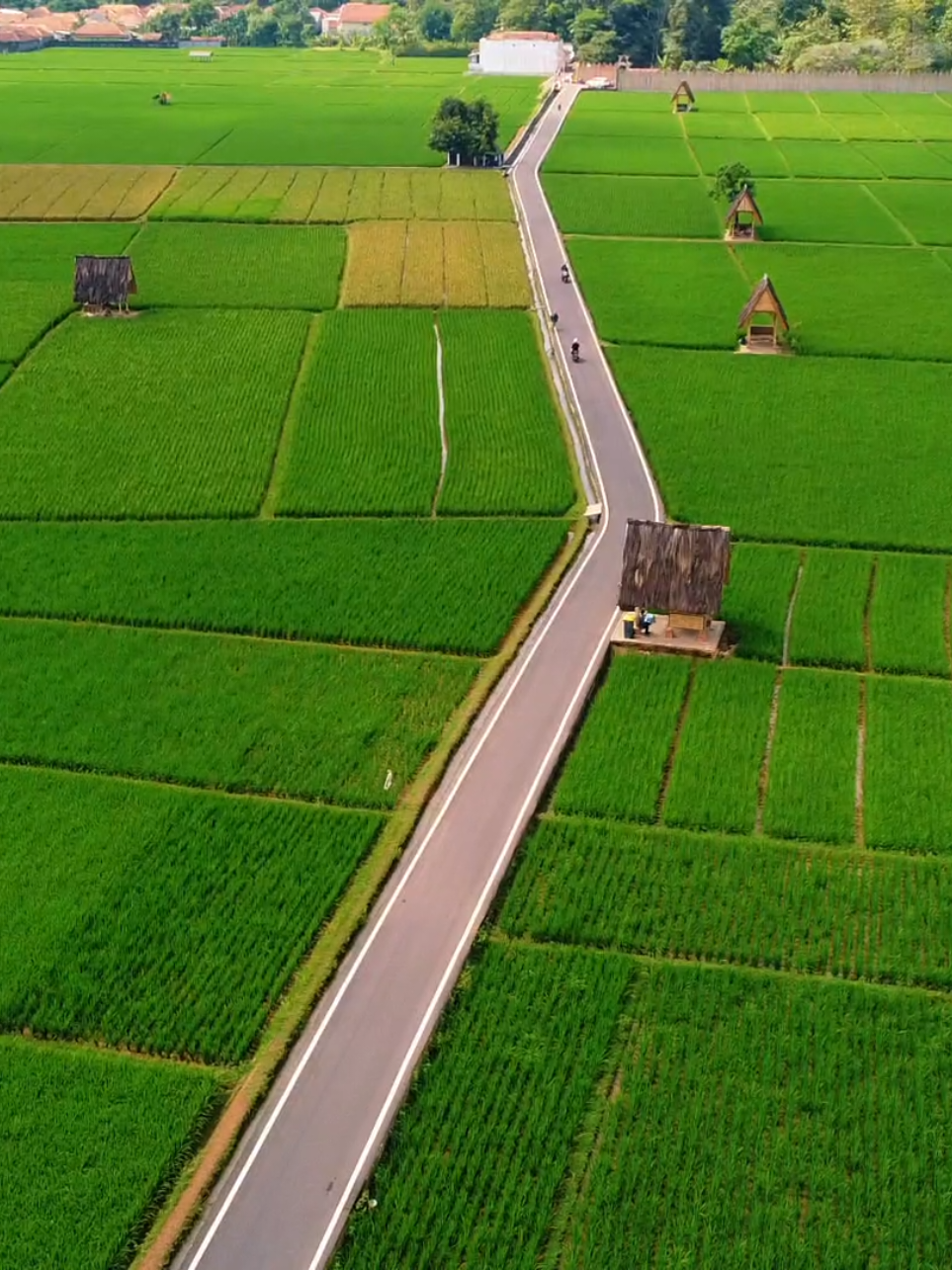 Lembur Pakuan tempat kediaman Kang Dedi Mulyadi #fyppppppppppppppppppppppp #videography #videography #dronevideo #dronevidoegrahpy #fyppppppppppppppppppppppp #cinematography #pilotdroneindonesia #lemburpakuanchannel #kangdedimulyadi @kdm.jawabarat 