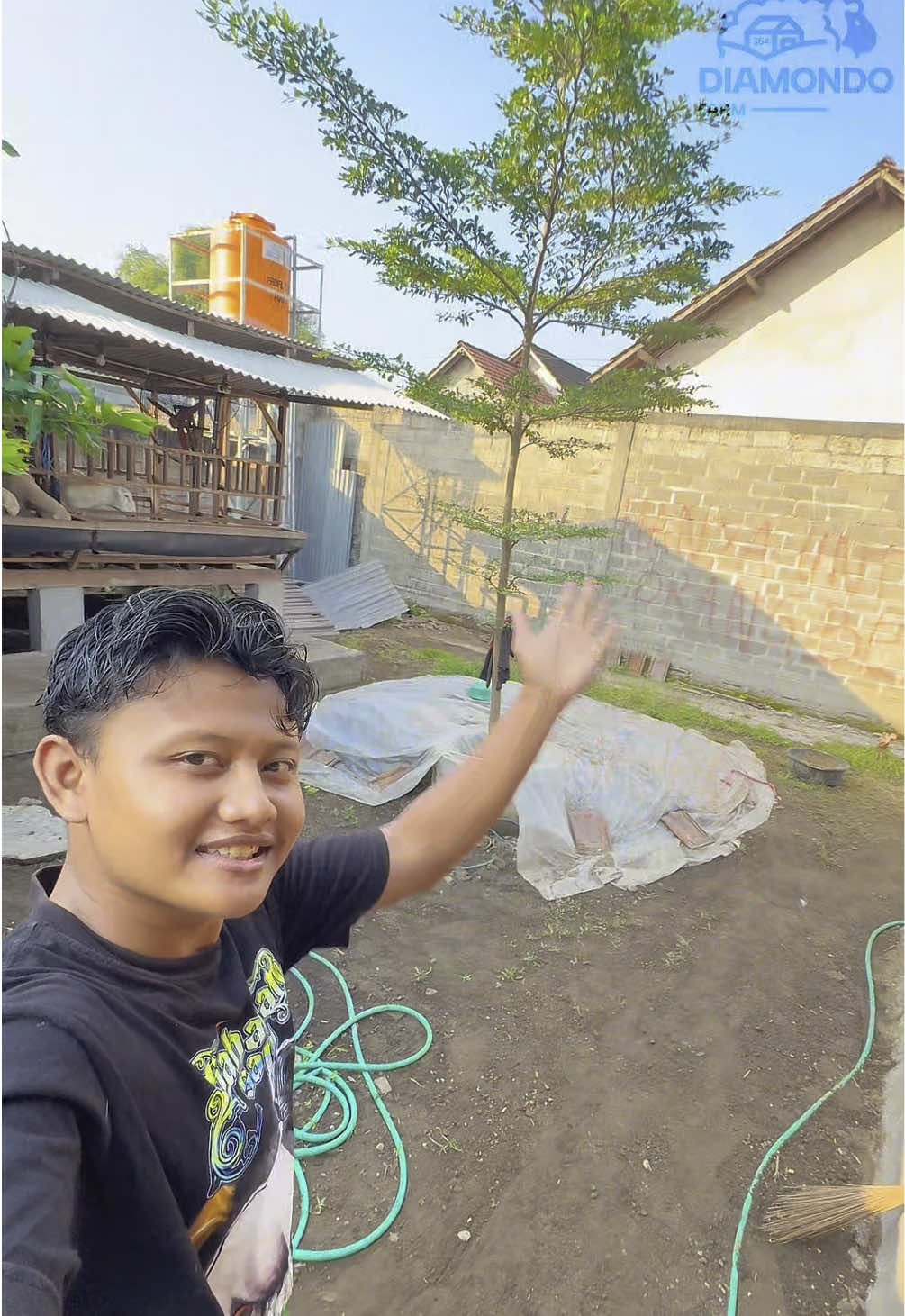 Daily activity seputar peternakan di diamondofarmkediri ✨🔥 Rekap konten kali ini diamondofarmkediri berbagi seputar informasi dan edukasi ternak melalui keseharian di kandang diamondofarm Kediri #daily  #adayinmylife  #peternak  #domba  #peternakan  #peternakmuda  #jokamhits354 