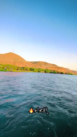 علواهس 🤷🏻‍♂️❤️#تصويري_احترافي_الاجواء👌🏻🕊😴 #لقطات_فائقة_الثبات #القيارة_جنوب_موصل #تصويري📷 #حسن_لطيف #ترندات_تيك_توك #fypシ゚ #القحطاني #cristianoronaldo #الضلوعيه_صلاح_الدين 