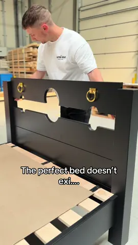 It actually does…  #alteregobeds #custombed #BookTok #alternative 