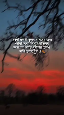 🍂 #foryou#foryoupag#fyp#unfrezzmyaccount#bdtiktokofficial  @TikTok Bangladesh 