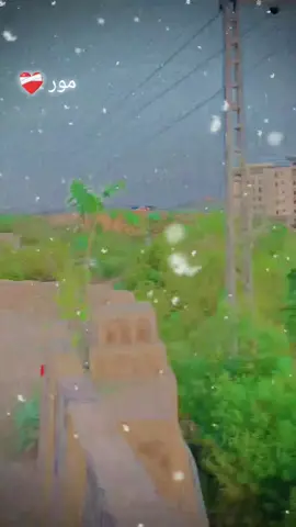 مور🥲❤️‍🩹