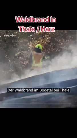 #CapCut #waldbrand #Thale #bodethal #Feuerwehr #Hexe1 #waldbrandsrufe5 #Heroes #Helden #tannenkopf #nachlöscharbeiten #LkrHarz #Harz #Oberharz #TopTen #fyp #altegarde #letsGo #2025 #wahrewerte #❤️❤️❤️ 