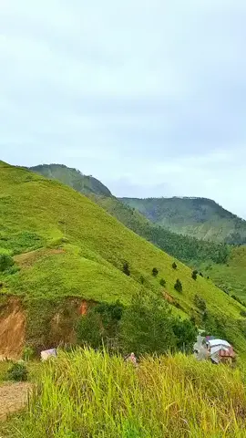 Bukit Holbung: Permata Tersembunyi di Samosir Bukit Holbung, yang sering disebut sebagai 