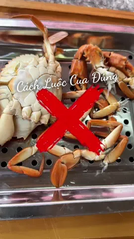 10 con như 10 #cuongtofu #LearnOnTikTok 