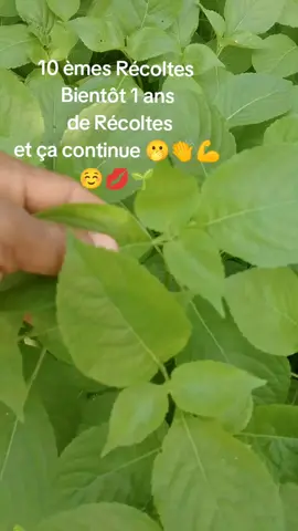 BIO BIO BIO BIO BIO BIO 🌱💪👏🙏#tiktokabomeycalavi #tiktokusa🇺🇲 #tiktokbeninois🇧🇯 #tiktokfrance