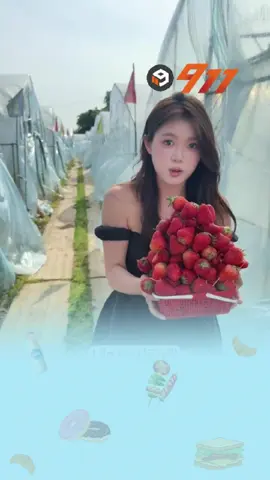 Tưởng được hái dâu đồng giá, ai ngờ 🤣 #giaitri #mukbang #ChineseFood #doanvat #reelvideo2024 #xuhuong #tiktokviral 