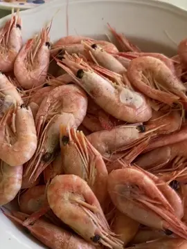 сидит красавец  #fyp 