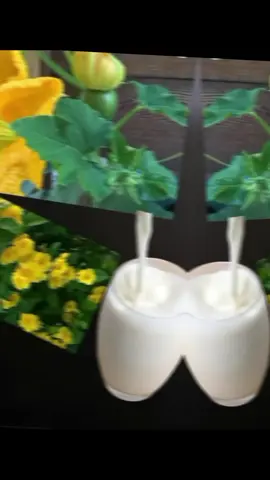 #pourtoi #pov #paratii #perte #p