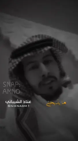 #يقول عناد الشيباني #قصيد#شعر #جزل 