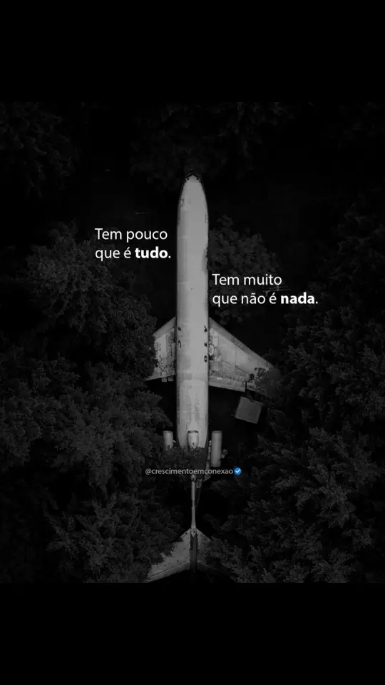 #Sejalmparável #FocoNaMissão #MentalidadeDeSucesso #AltaPerformance #DesenvolvimentoPessoal #Fyp #Explore