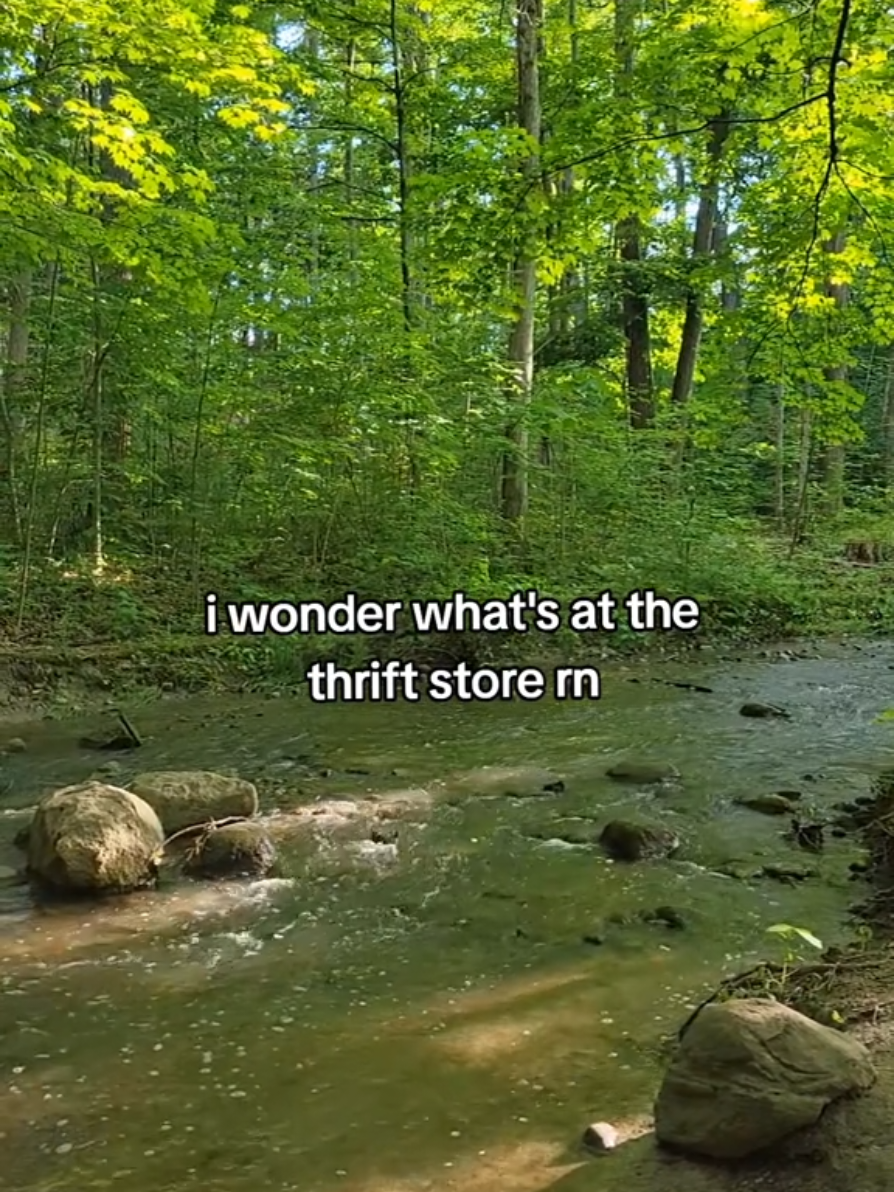 thrift fomo will be the end of me #thrifttok #thrifting #vintage 