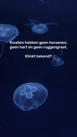 We kijken jou indringend aan