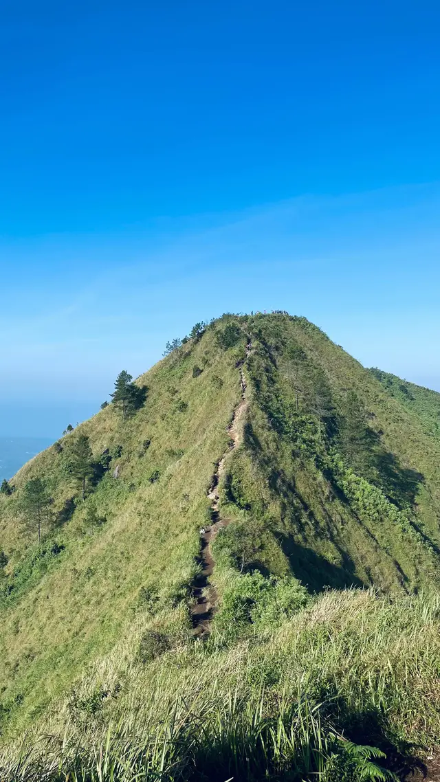 mendaki dengan penuh luka (mdpl) #andongviapendem #gunungandong #gunungandong1726mdpl #foryoupage #magelang 