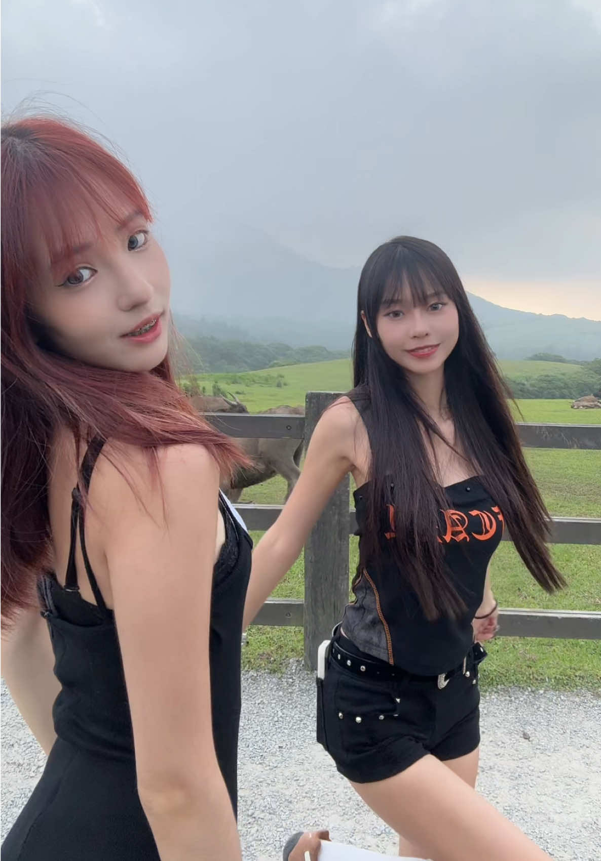 跳個舞給牛牛看#擎天崗 #牛 #fyp   @羅吸C 