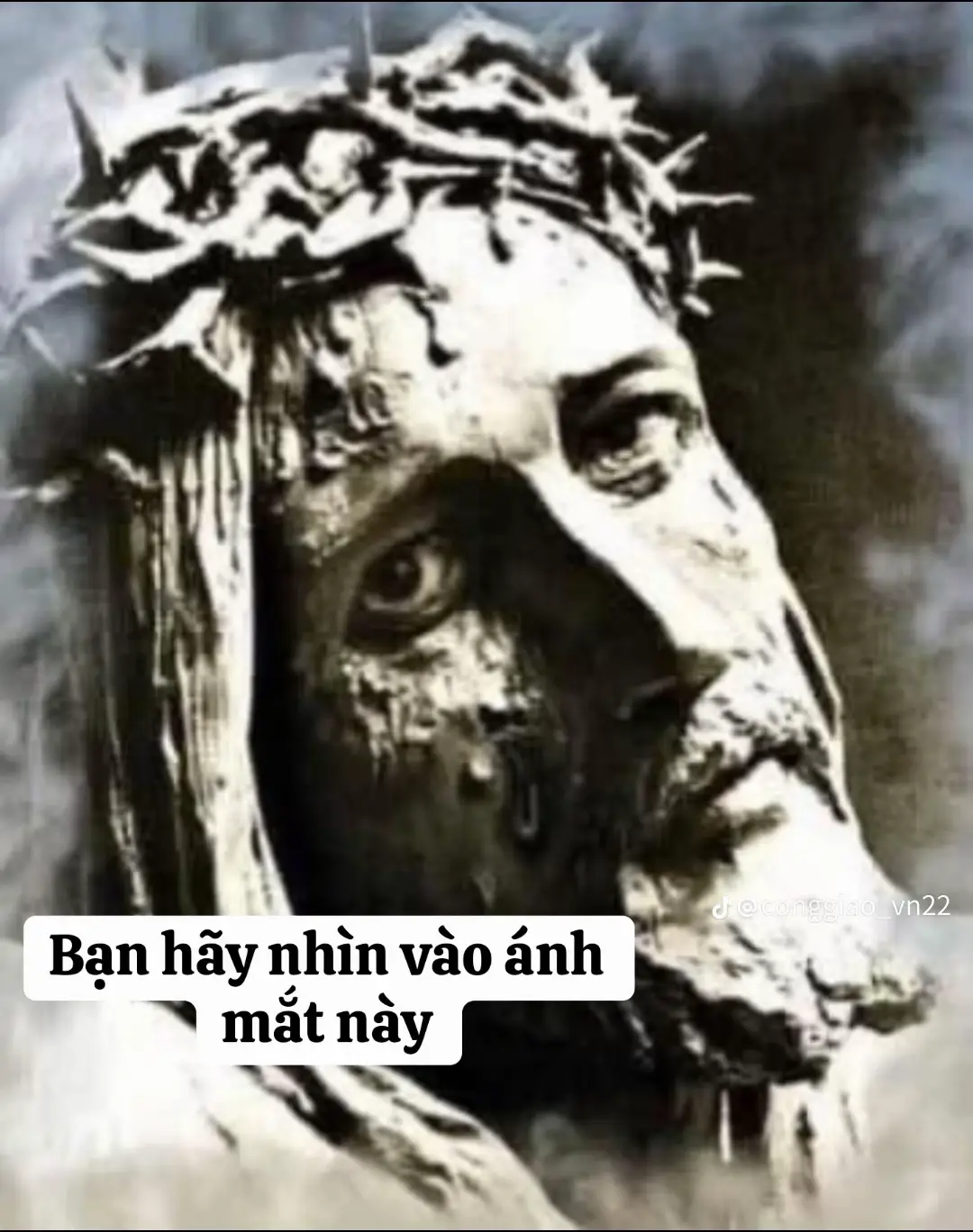 ÁNH MẮT NÀY...  Ánh mắt này,  - đã từng nhìn Giuđa trong vườn Dầu  - đã từng nhìn Phêrô trong dinh thượng tế  - đã từng nhìn Barabbas trong dinh Philatô  - đã từng nhìn đám đông dân chúng hò hét: 