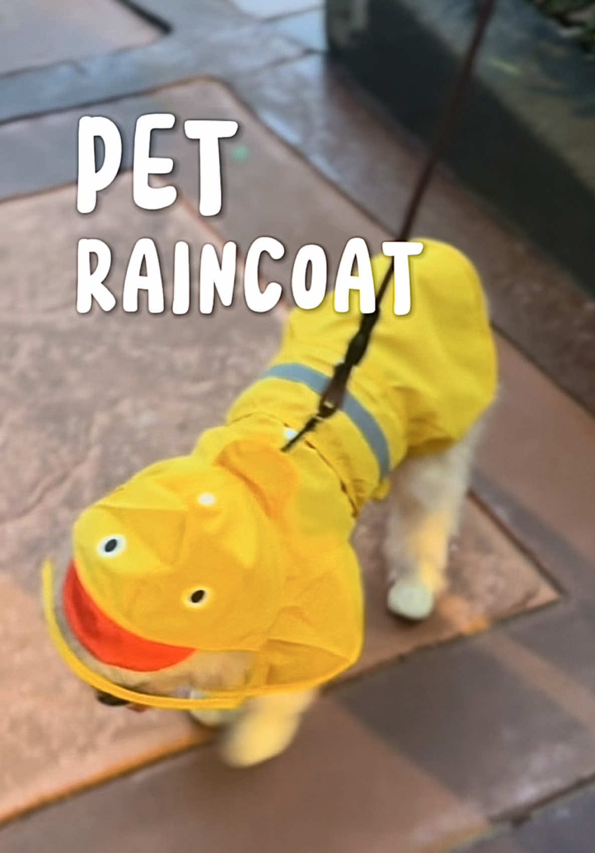 Waterproof pet raincoat with cute duck design! Stay dry, stay adorable! 🐤☔ #PetRaincoat #WaterproofForPets #DuckDesignRaincoat  #PetEssentialsPH #CutePetRaincoat #RaincoatForDogs #PetRainGear #WaterproofPetJacket #RainySeasonEssentials #PetOOTD #LakwatseroPets #PetFashionPH #DogRaincoatPH 