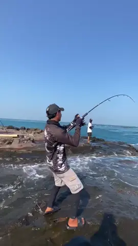 spot lampung punya  🎣   #mancing #fyp #mancingmania #poping #lampung 