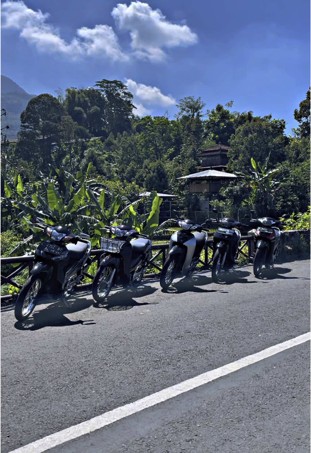Bebek e berjemur.🦆🍃 #sig_detailingsby #udinjayamotor #kph #kphgank #kphgank🚀 #karisma #karisma125 #honda #honda125 #fyp #motorbapak #jepangstyle #thailand🇹🇭  @Imenpunya_ @RH fhis @KHARISMAKU @masgus03 