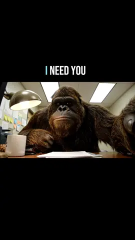 Transport problem #bigfoot #Vlog #funny 