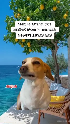 just for memes 😂🙌