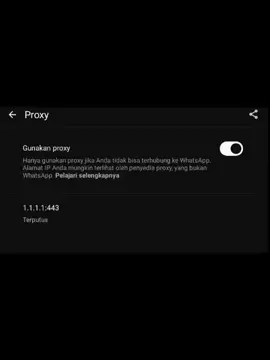 makin nyaman sama fitur ini #fyp #fypシ #sad  #masukberandafyp #whatsapp  #proxy #no #fake #fake #:( #fiturwhatsapp 