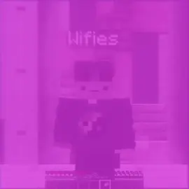 its all yours.. #unstablesmp #Minecraft #edit #wifies #parrot #wemmbu #viraledit #fyp #smp 