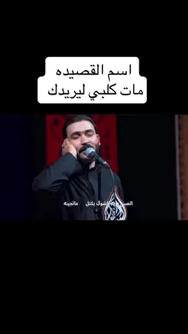 مات كلبي اليريدك #جبار_الحريشاوي #مجالس #ابومهدي_المهندس #شيعة #علي 