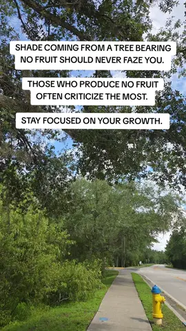Your potential is too vast to be grounded by the doubts of a hater.  The only limits to your growth are the ones you accept – keep soaring! #selflove #growth #soar #rise 