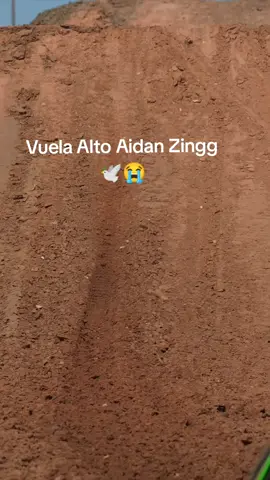 Recordando al gran prospecto Aidan Zingg  Vuela Alto Campeón 🕊️😭
