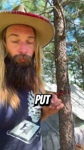 People always say they want to “get back to the land” or “live closer to nature,” but very few actually do. I made this little “put a finger down” as a kind of litmus test. It starts off relatable who doesn’t like camping or travel? But as it unfolds, most folks tap out. this life requires a kind of devotion that most don’t even realize exists anymore. It’s not about being better. It’s about being rooted. I live with my animals. Eat wild food. Make my own clothes. Sleep outside year-round. it’s what I was taught, and it’s what keeps me alive in every sense of the word. So if you couldn’t put all five fingers down, no judgment. But if you could… you might already be riding in. #putafinerdown #michaelridge #horsenomad 