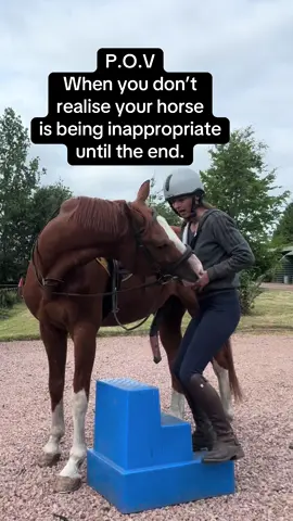 Doing demonstrations with a neurodivergent stallion is not easy. And it’s mostly impossible. He is too impatient to be standing around whilst I get on and off. So I gave up in the end. #stallionsoftiktok #sox #soxthestallion #horses #equestrian #equestrianvibes #horsefails #fyp 