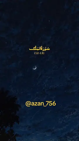SURAH MULK WITH URDU TRANSLATION I PARA NO 29 | VERSES NO 12-13  #islamicwayoflife🥰 #quranurdutranslation #qurantarjuma #islamicquotes 