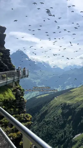 What a blessing to be Allah’s favorite creation, aH. #islam #fyp #islamicreminder 