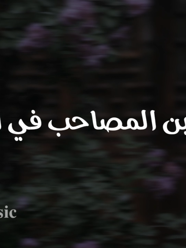 بدون موسيقى 💙  #تدوسين_المصاحب_في_التراب  #اناشيد #بدون_موسيقى #no_music #fyp 