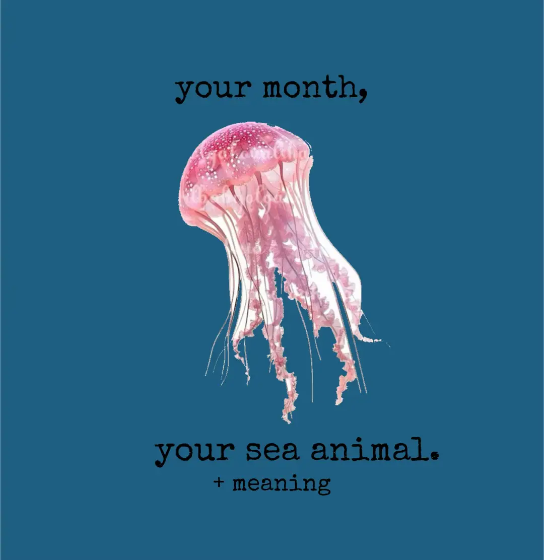 Thank you soso much for nearly 12k followers! I might do a face reveal & voice reveal soon!! || #seaanimal #jellyfish #orca #octopus #starfish #whale #dolphin #shark #seal #narwhal #crab #seahorse #turtle #mantaray #fyp #foryou #page #foryoupage #dontflop #blowup #viral #popular #famous #xyzabc #month 
