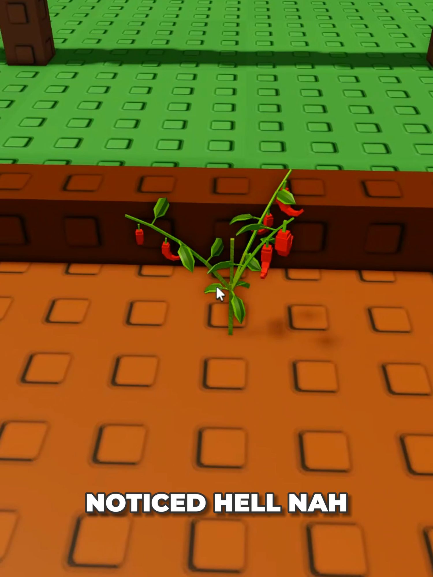 why me everytime😭😩#growagardenroblox #roblox #fyp #fy